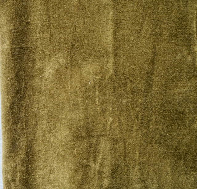 VELOURS RAS FORET