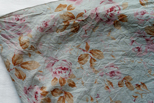 FLEURS SAUGE H26