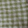 vichy-vert